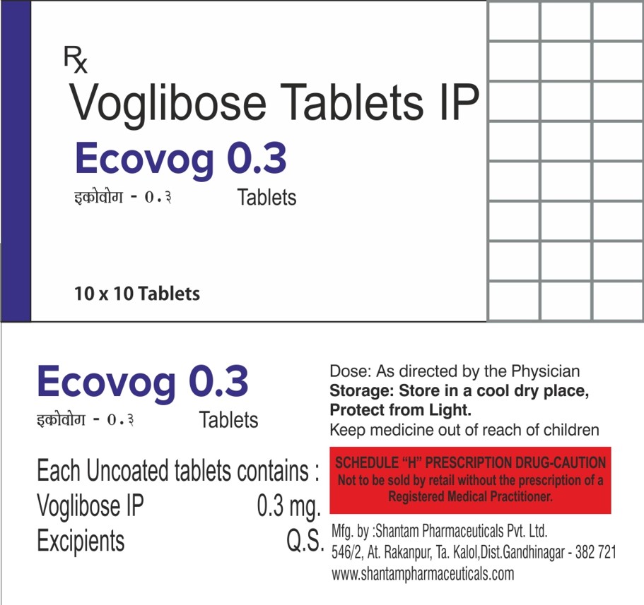 ECOVOG 0.3